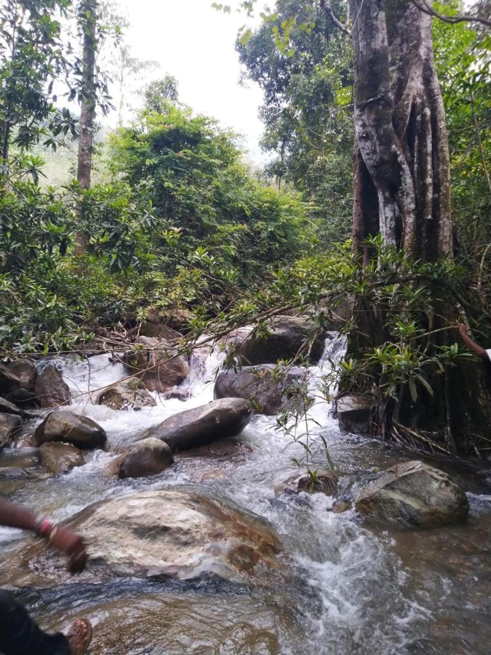 Mistywindvalley Kudayattur Exteriör bild
